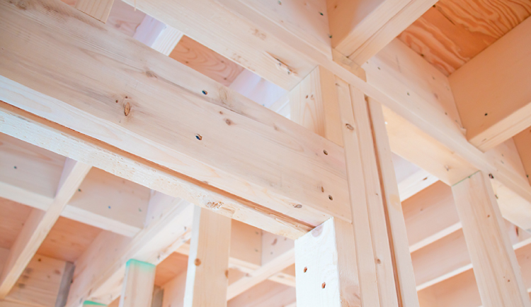 シロアリ防蟻イメージ